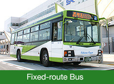 Fixed-route Bus
