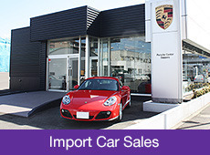 Import Car Sales
